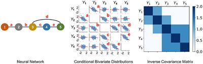 Statistical Perspective on Functional and Causal Neural Connectomics: A Comparative Study